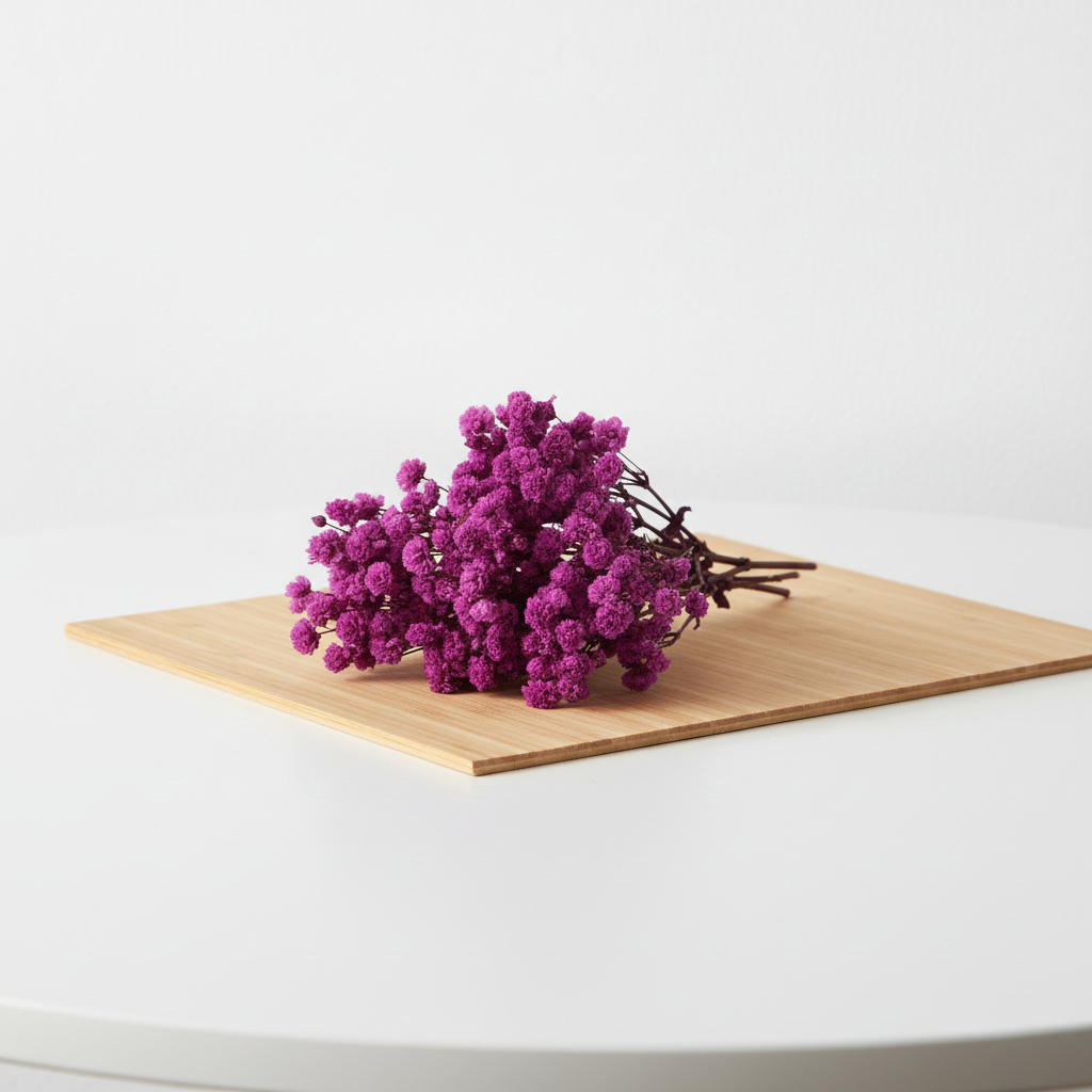 Stabilizovaná Gypsophila box pro aranžování - fuchsiová detail